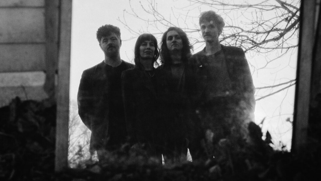The Felice Brothers Celebrated by The Lumineers, Brandon Flowers and Phoebe Bridgers on new album ‘Felice County Fair’ The Felice Brothers